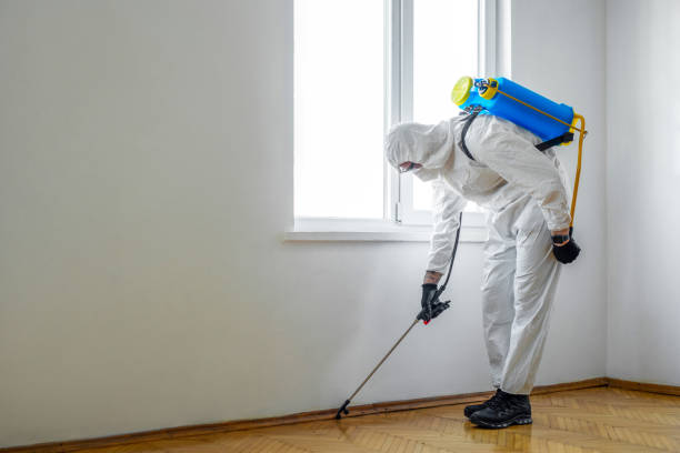 Best Residential Pest Control  in Raleigh Hills, OR